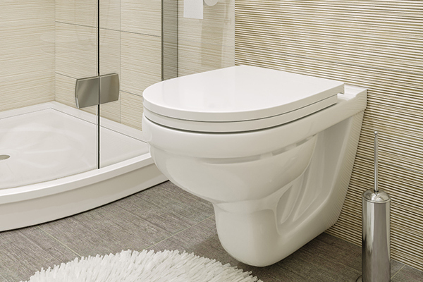 Унитаз Эллара home de lux подвесной микролифт с креплением Gesso 